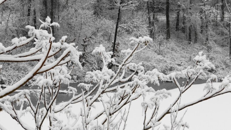 1st. Morning Snowfall