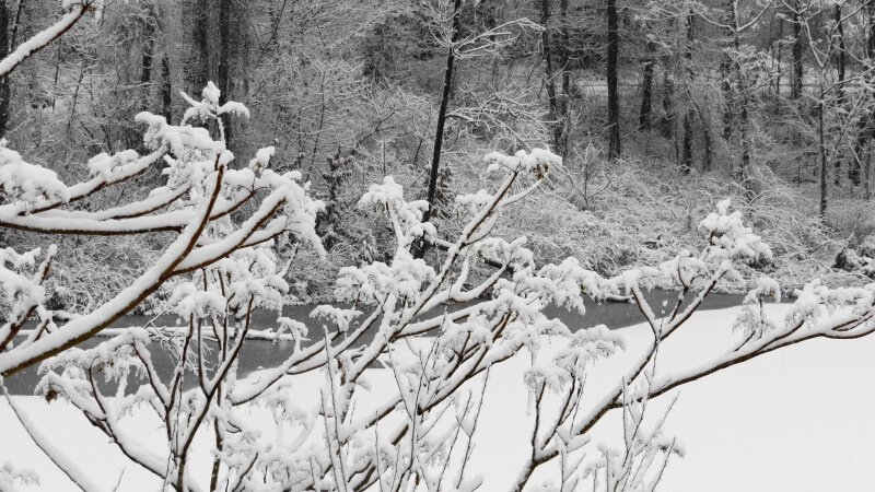 1st. Morning Snowfall