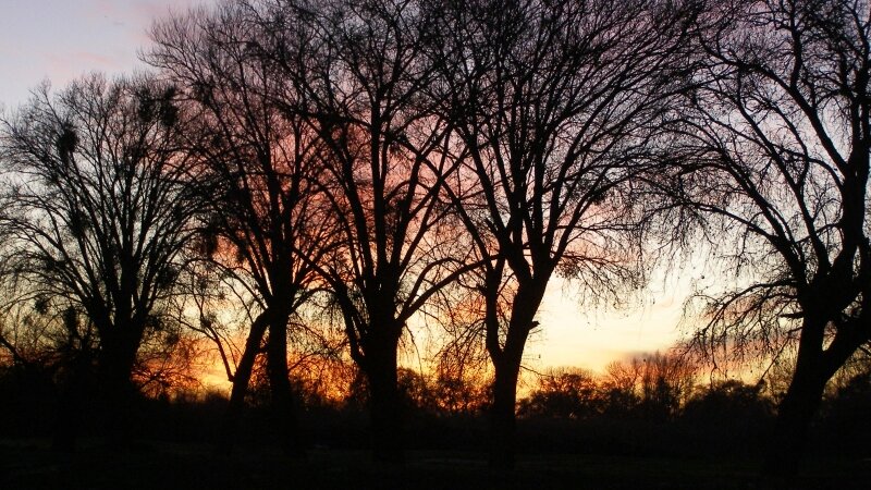 Evening Light at Fish Camp