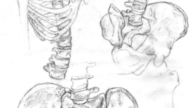 Rib Cage and Hip Bone Study
