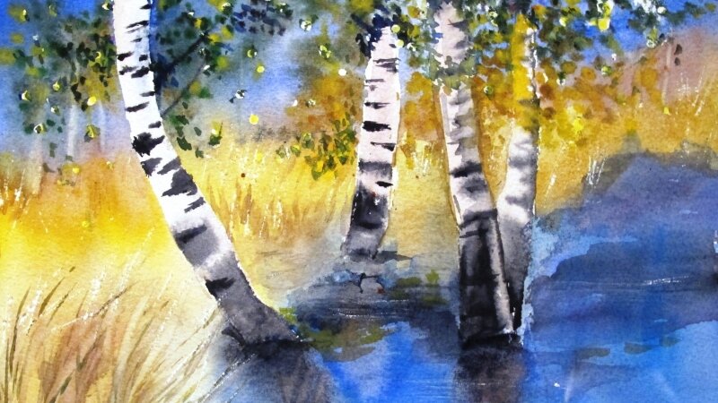 Stand of birches