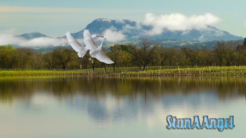 Serenity Laguna De Santa Rosa