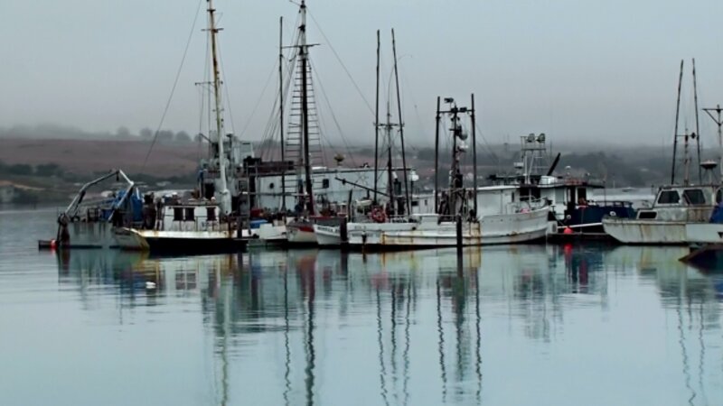 Spud pont crabbing fleet.