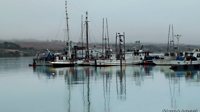 Spud pont crabbing fleet.