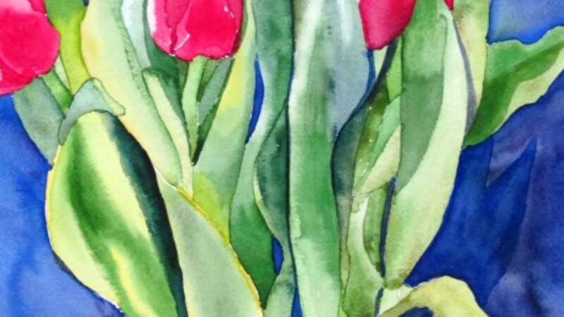 Midnight tulips