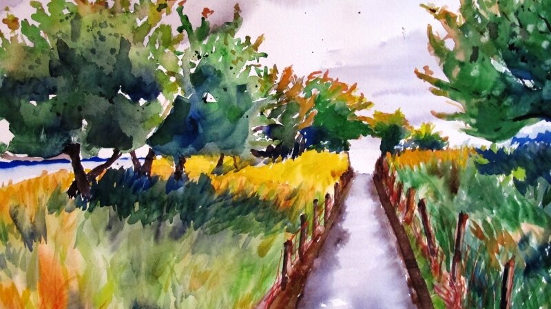 Scotland, Isle of Skye II