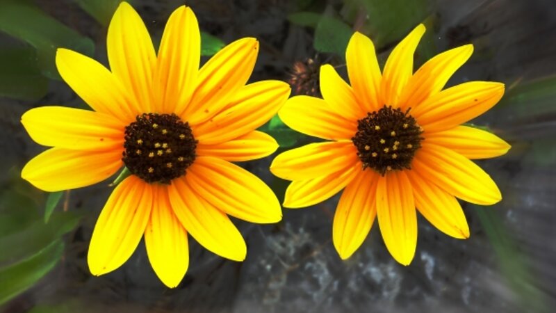 Here's looking at you