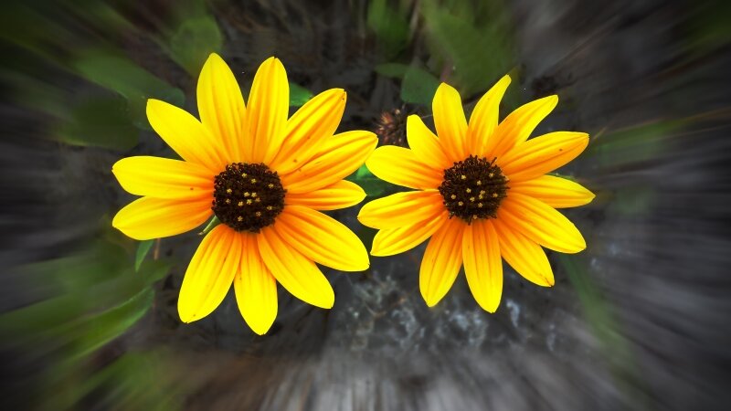 Here's looking at you