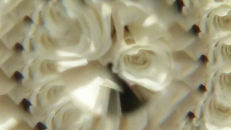 Bed of Roses