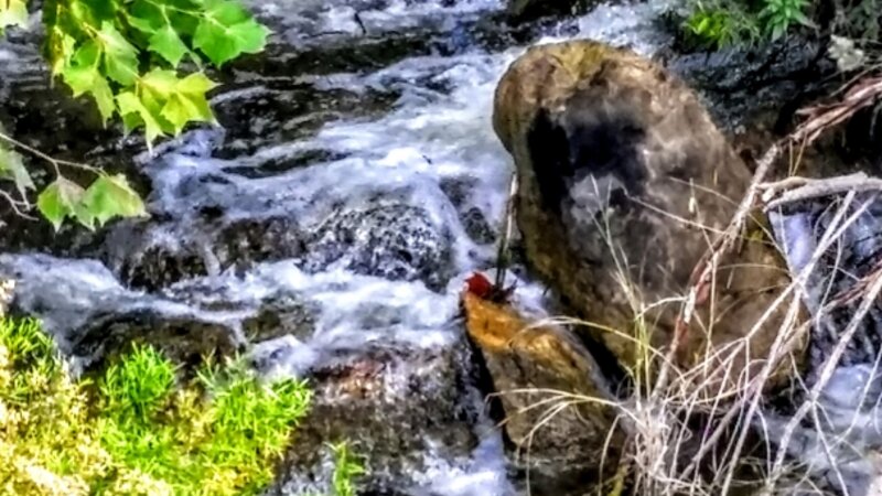 Creek pic near Medina lake