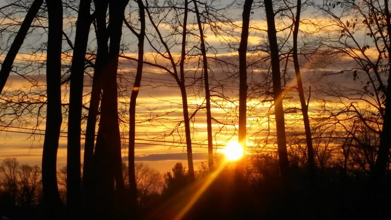 Morning Sun