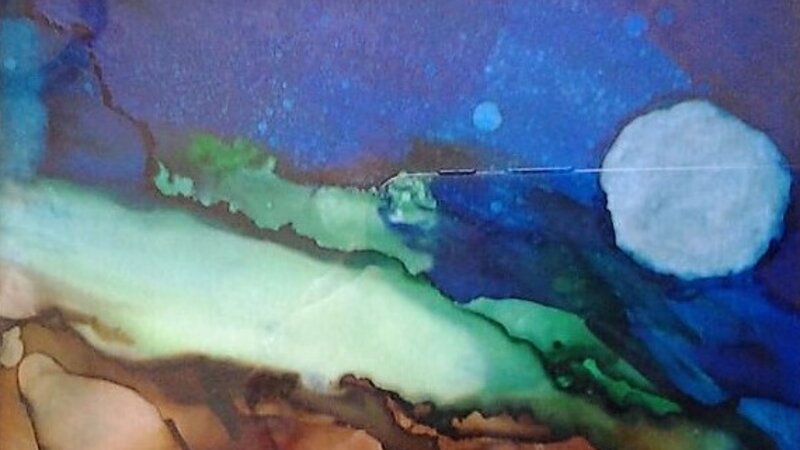 Cat Chasing the Moon