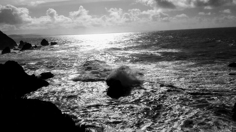 Black & White beauty