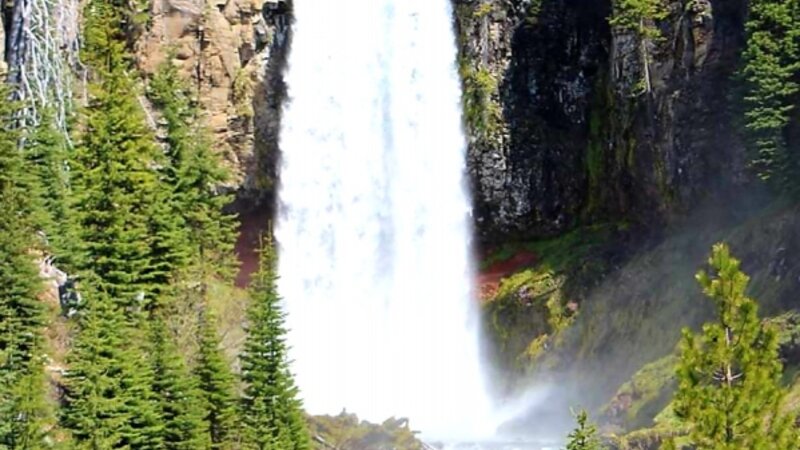 A Hike to the Falls