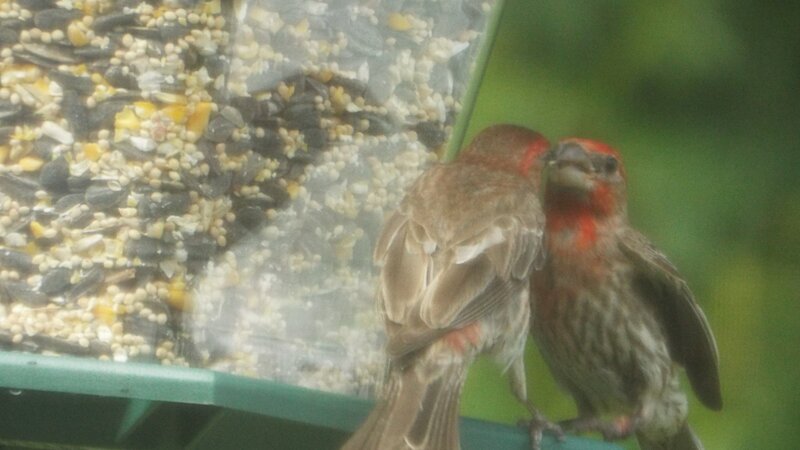 It's Like Looking in the Mirror