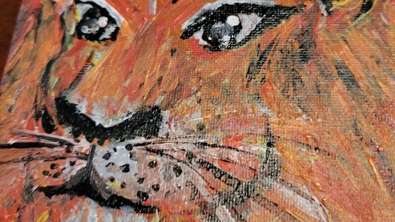 Strength in solidarity 