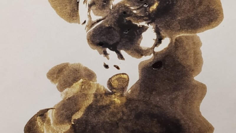 Dog from the operating room