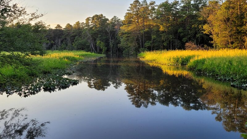 South view of Butler Mill Branch, Seaford