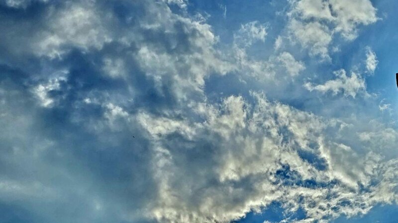 You never know what you're going to see when you look up.