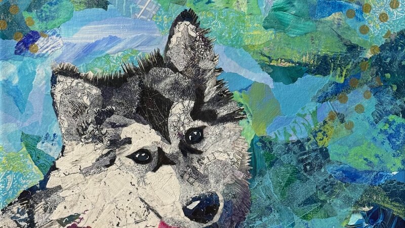Mixed media torn-paper collage portrait of a black and white Malamute dog.  Abstract blue background.