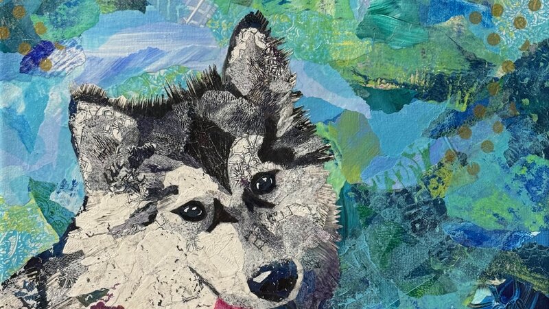 Mixed media torn-paper collage portrait of a black and white Malamute dog.  Abstract blue background.