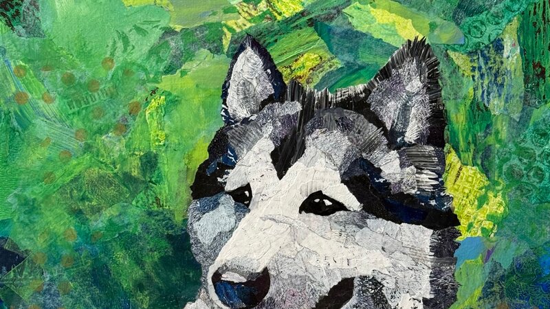 Mixed media torn-paper collage portrait of a black and white Malamute dog.  Abstract green background.