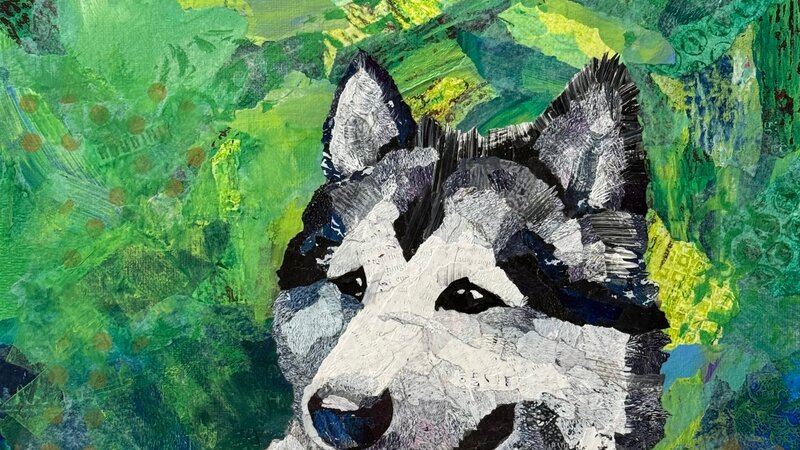 Mixed media torn-paper collage portrait of a black and white Malamute dog.  Abstract green background.
