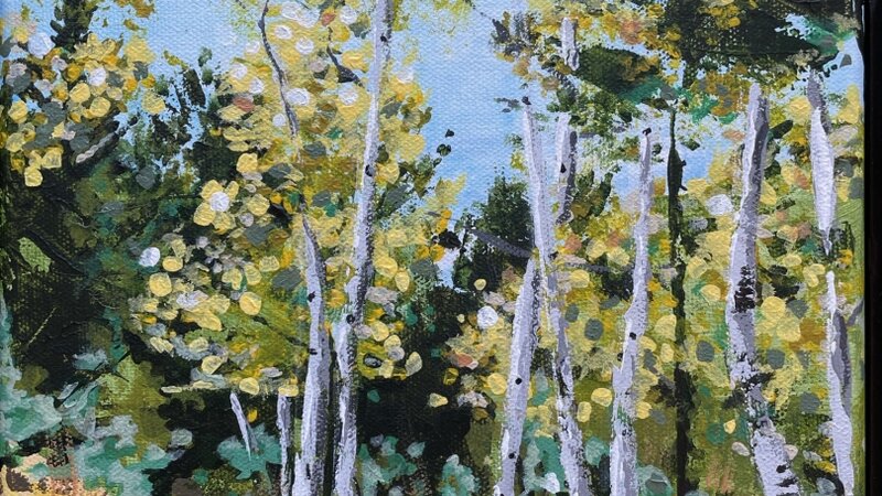 Pike Forest Aspens