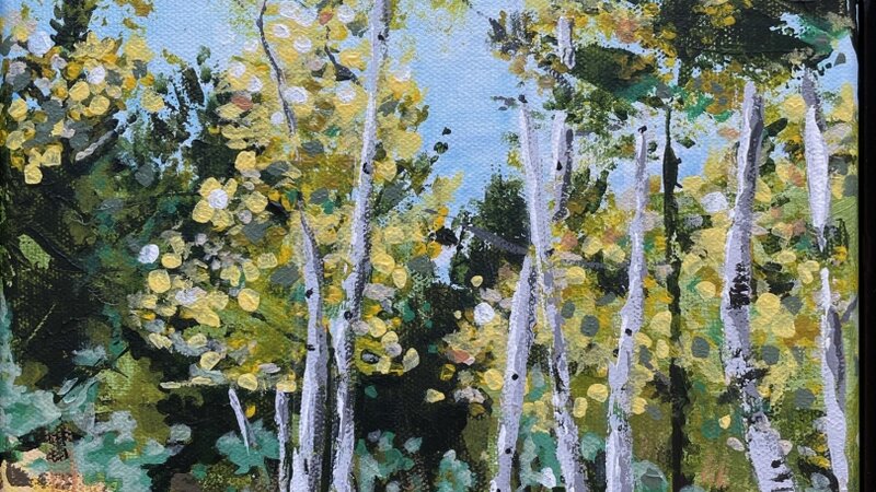 Pike Forest Aspens