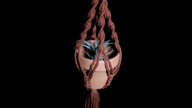 Mini Macrame Plant Hanger with Air Plant!