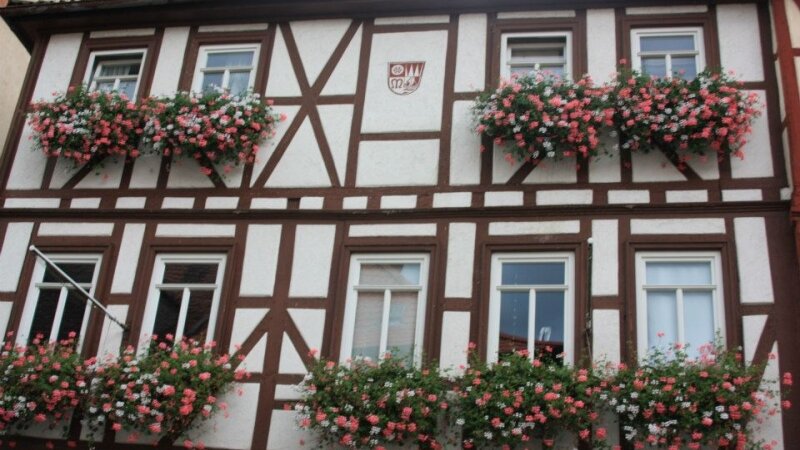 flowers are plentiful