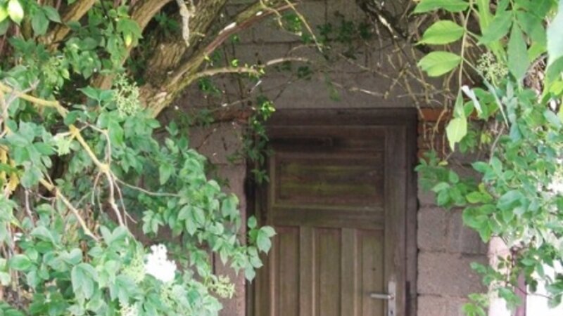 the hidden door