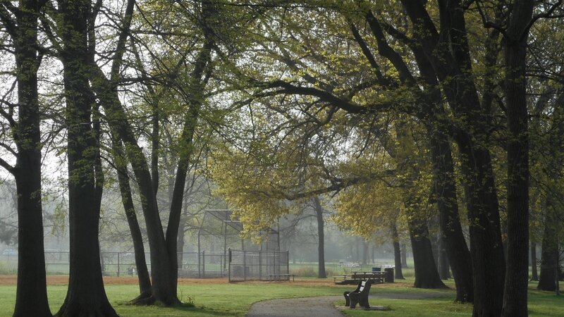 Early Spring in Johnson Park