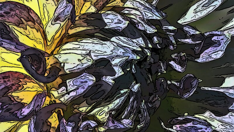 Dahlia Series Number 4