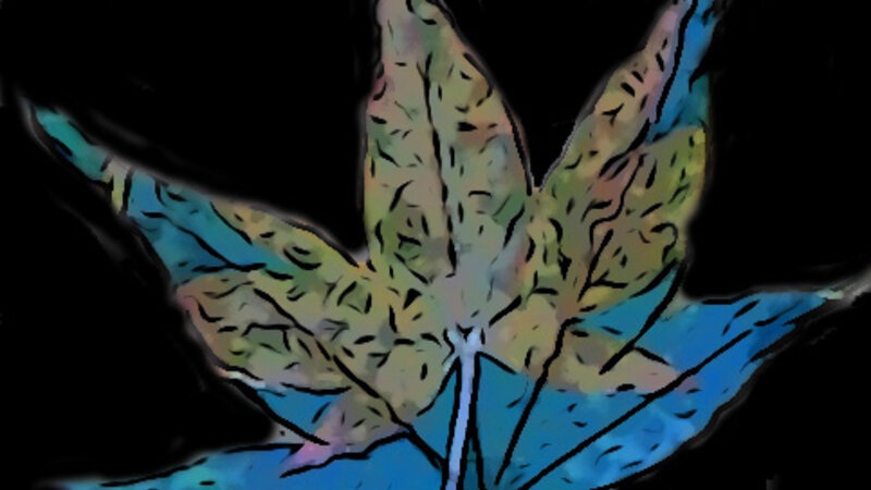 Leaf Series 3