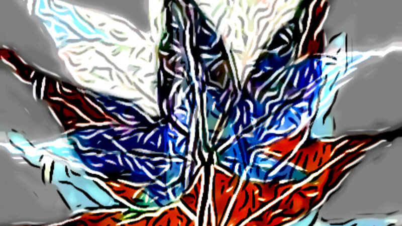 Leaf Series Number 2