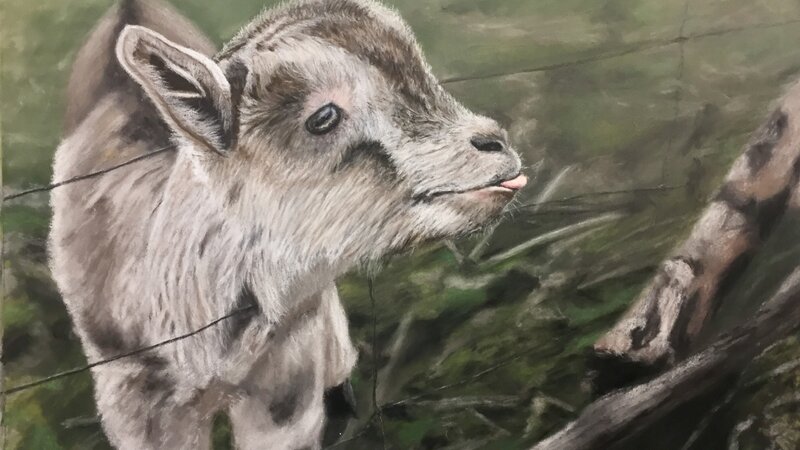 Silly Goat