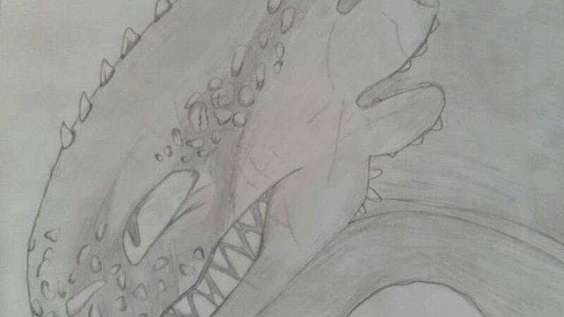httyd artwork