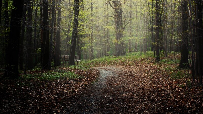 The Seat of the Ghost