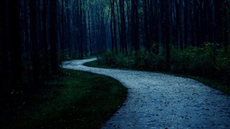 I Must Take the Unforsaken Road
