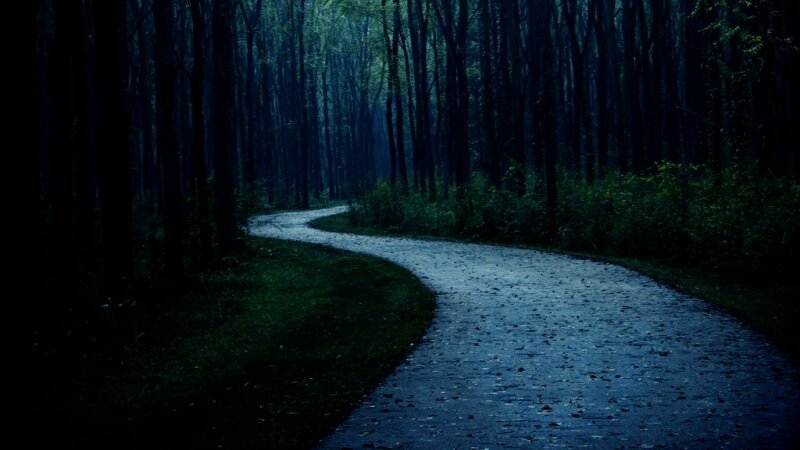 I Must Take the Unforsaken Road