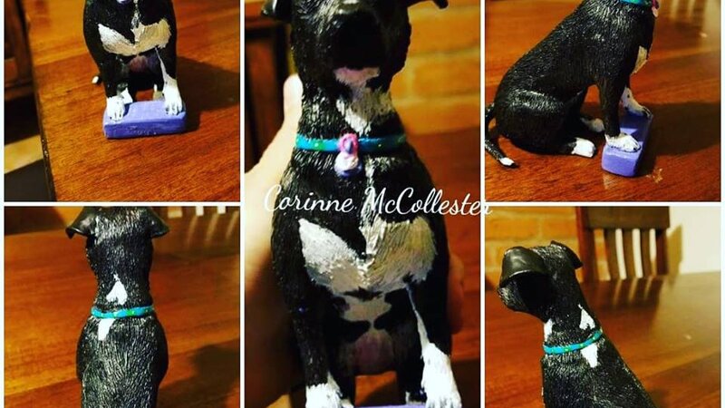 Jack Black the Dog