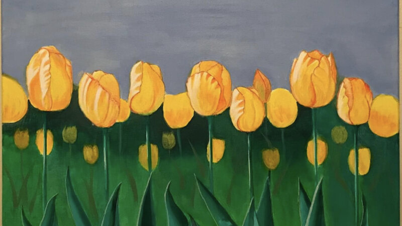 Tulips