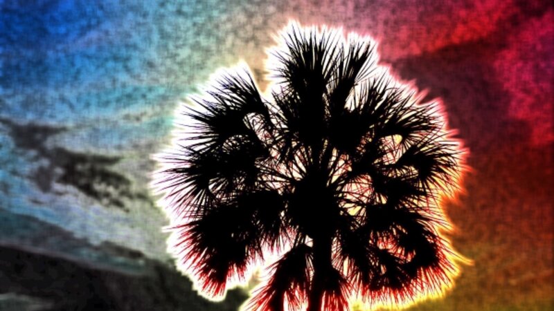 Unreal Palm Tree