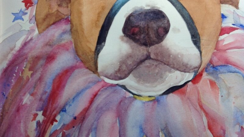 “Harlequin Dog”  Transparent watercolor  matted & framed