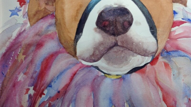 “Harlequin Dog”  Transparent watercolor  matted & framed