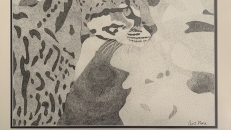Hidden Leopard