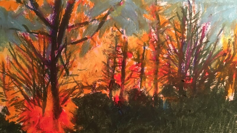 Forest Fire