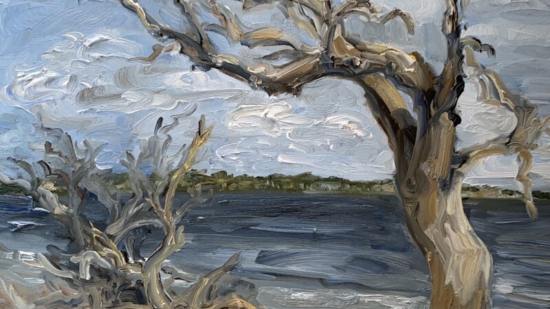 Driftwood Beach, Jekyll Island