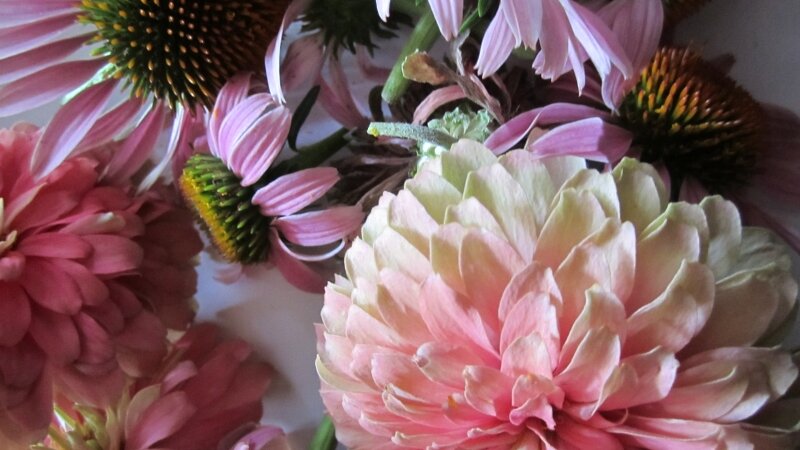 Paper Plate With a Mix of Cut Flowers